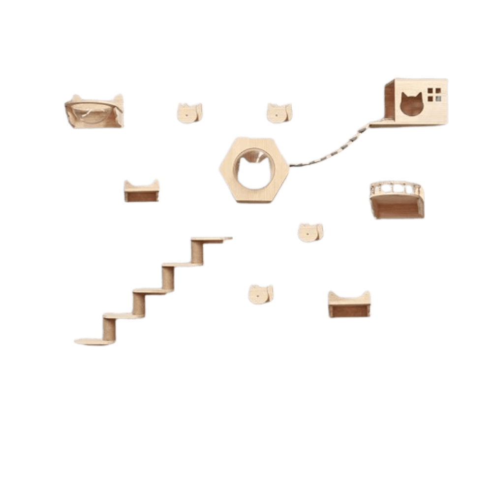 ชุดปีนป่ายแมว