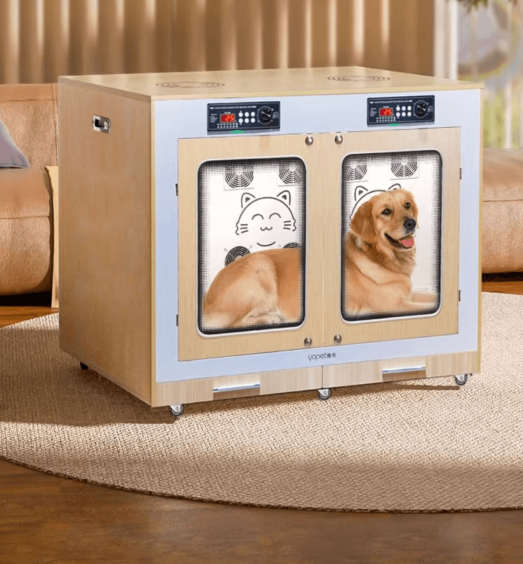 อุปกรณ์สุนัข