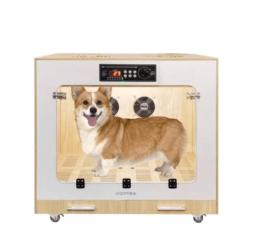 เครื่องเป่าขนหมา